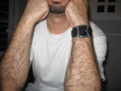 hairyarms1.jpg