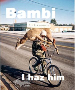 Bambi.JPG