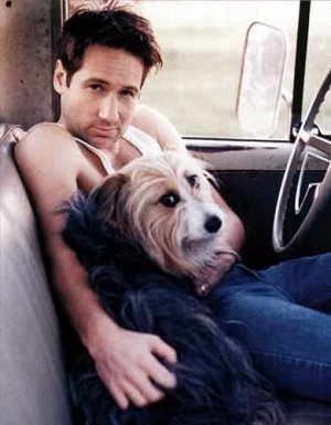 David Duchovny.JPG