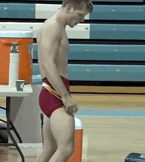 IMG_2362.gif