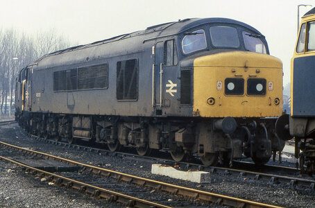 IMG_2380.jpeg IMG_2380.jpeg