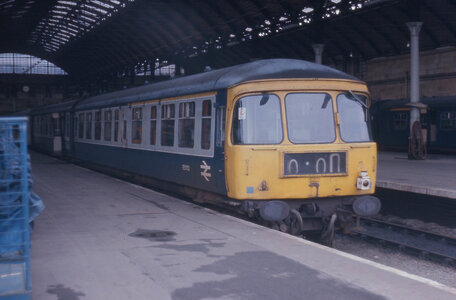 IMG_7695.jpeg IMG_7695.jpeg