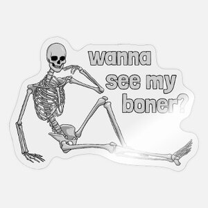 willst-du-mein-boner-skelett-lustig-erwachsenen-h.jpg