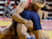 wrestling 11.gif