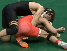 wrestling 10.gif