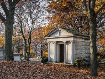 licensed-image (23).jpeg