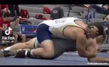 wrestling 8.gif