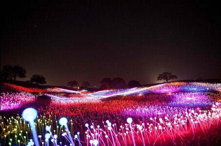 1 1sea of light 1.jpg