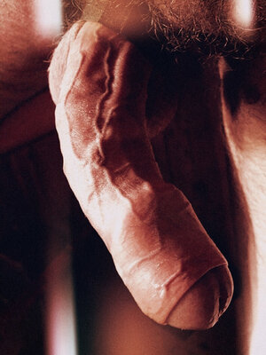 tumblr_oeht9j3hLK1vz173ao1_1280.jpg tumblr_oeht9j3hLK1vz173ao1_1280.jpg