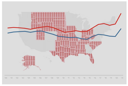 1755170673128.png 1755170673128.png