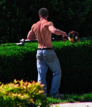 Lawn boy 34-2.jpg