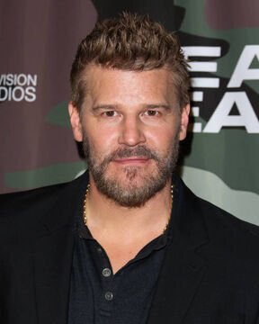 David_Boreanaz.jpg
