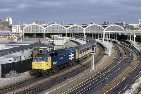 IMG_5365.jpeg IMG_5365.jpeg