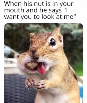 IMG_4805.png IMG_4805.png