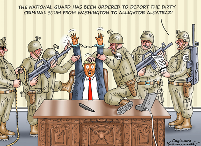 Screenshot 2025-08-25 at 08-47-18 Cagle.com.png