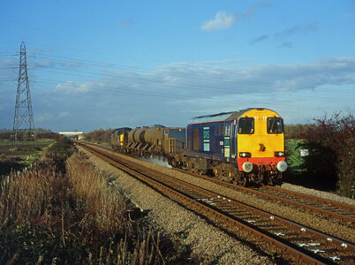 IMG_6767_Original.jpeg IMG_6767_Original.jpeg