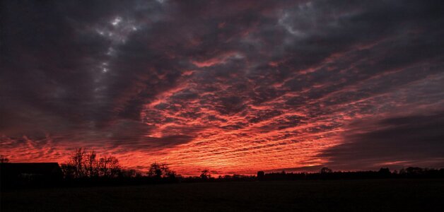 IMG_2543.jpeg IMG_2543.jpeg