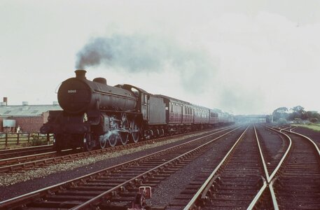 IMG_7865.jpeg IMG_7865.jpeg