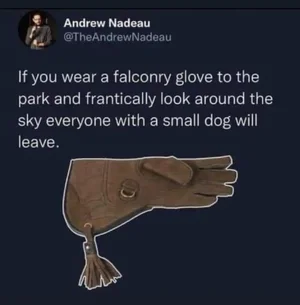 1756320382119.webp 1756320382119.webp