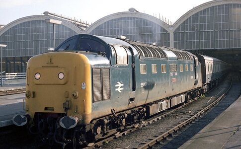 IMG_6784_Original.jpeg IMG_6784_Original.jpeg