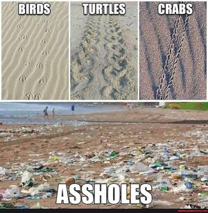 1756492622431.jpeg 1756492622431.jpeg