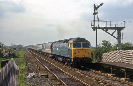 IMG_6790_Original.jpeg IMG_6790_Original.jpeg