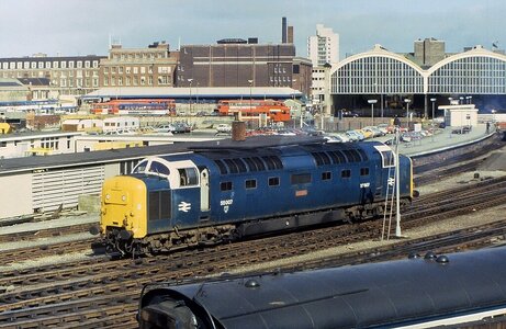 IMG_5430.jpeg IMG_5430.jpeg