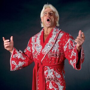 Ric_Flair.jpg