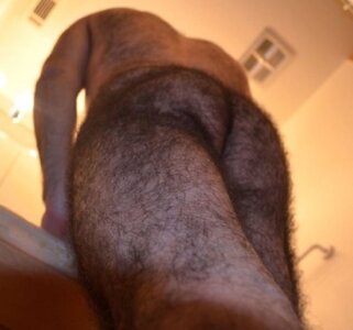 hairyasstumblr_48f5f2a1a8776aefaf472076004b5922_a7180c1e_540.jpg