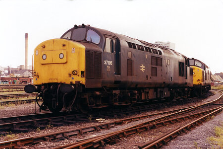 IMG_6804_Original.jpeg IMG_6804_Original.jpeg