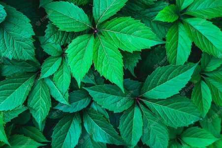 1000000846.jpg 1000000846.jpg