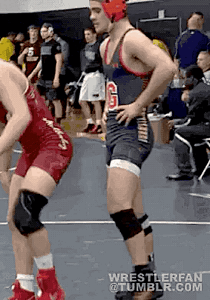 wrestling 9.gif