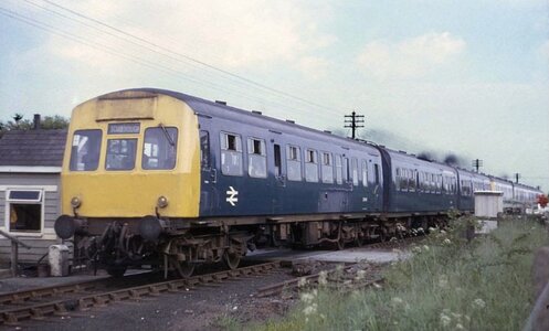 IMG_2636.jpeg IMG_2636.jpeg