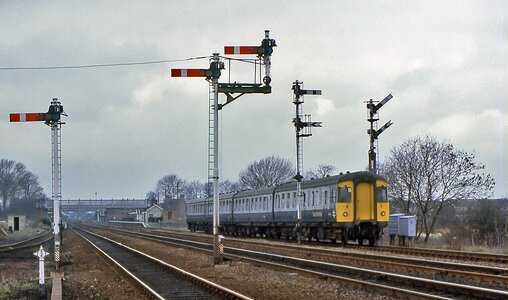 IMG_6856_Original.jpeg IMG_6856_Original.jpeg