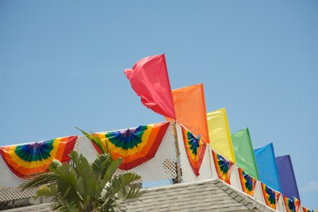 7021gay_pride_flags.jpg
