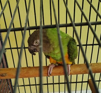 1000000136.jpg 1000000136.jpg