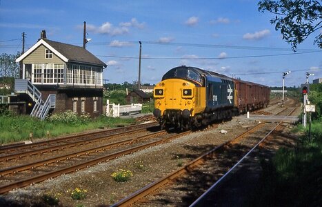 IMG_6871_Original.jpeg IMG_6871_Original.jpeg