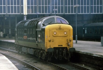 IMG_6885_Original.jpeg IMG_6885_Original.jpeg