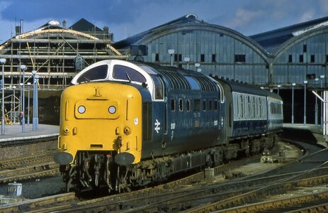 IMG_5461.jpeg IMG_5461.jpeg