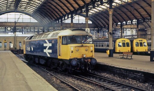 IMG_6910_Original.jpeg IMG_6910_Original.jpeg