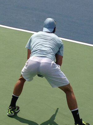 Hottie Tommy Haas at Cincy 2013!!.jpeg