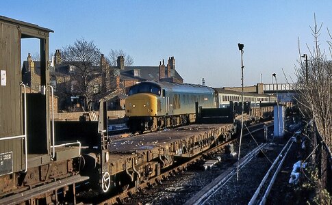 IMG_6965_Original.jpeg IMG_6965_Original.jpeg