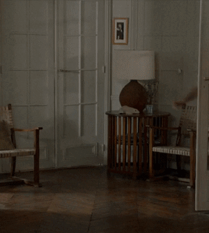 gif-DidierBourdon02.gif