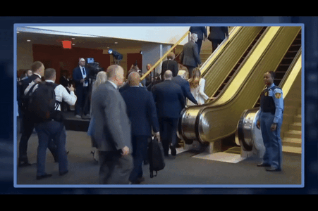 TrumpHamster-1.gif