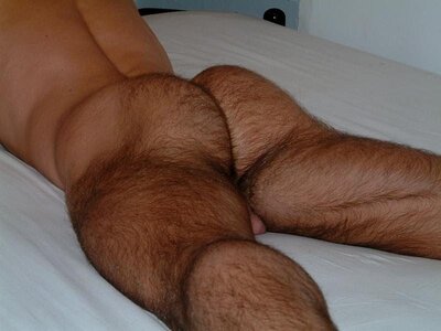 HairyAss3.jpg