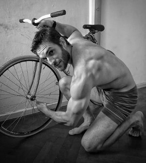 Osito Blanco 90056264.jpg