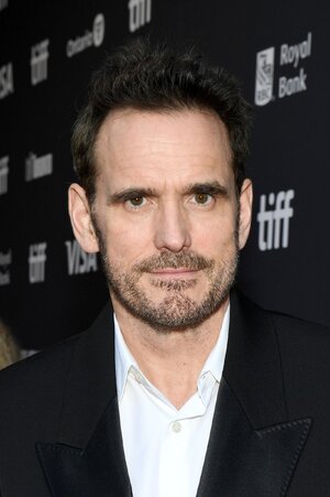 licensed-image (3).jpeg