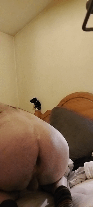 20240224_014652_3.gif