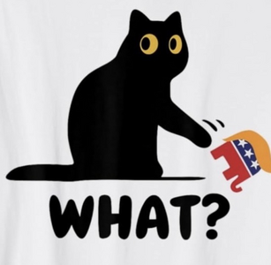 IMG_9589.png