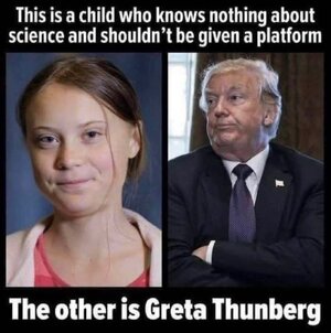 558871431.jpg